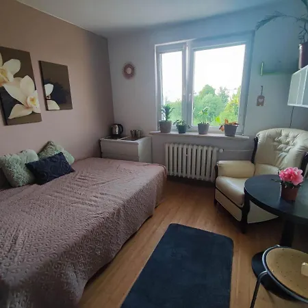 Pokoj W Mieszkaniu Apartman